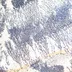 شجر بزرگ 2233
